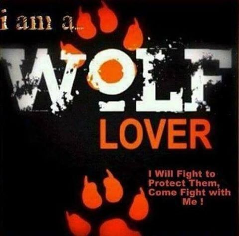 SAVE OUR WOLFES